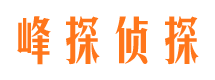 阳谷市婚外情调查